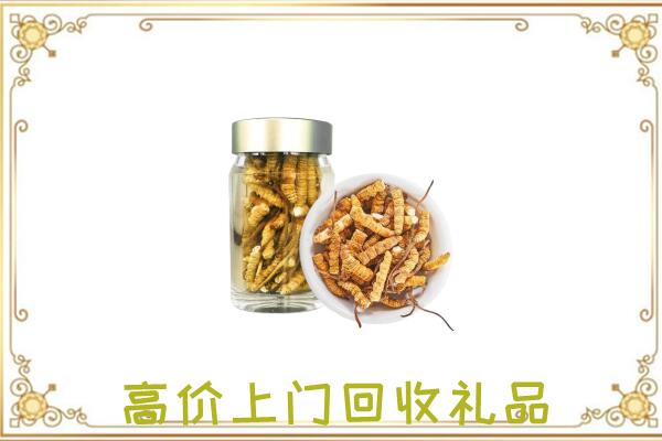 贵阳周边回收虫草